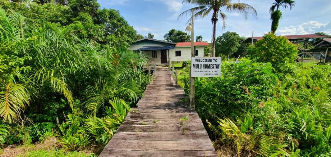 Mulu Homestay Eksteriør bilde