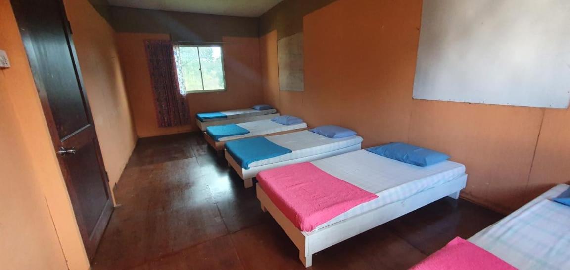 Mulu Homestay Eksteriør bilde