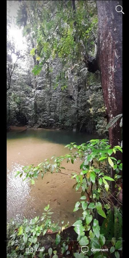 Mulu Homestay Eksteriør bilde